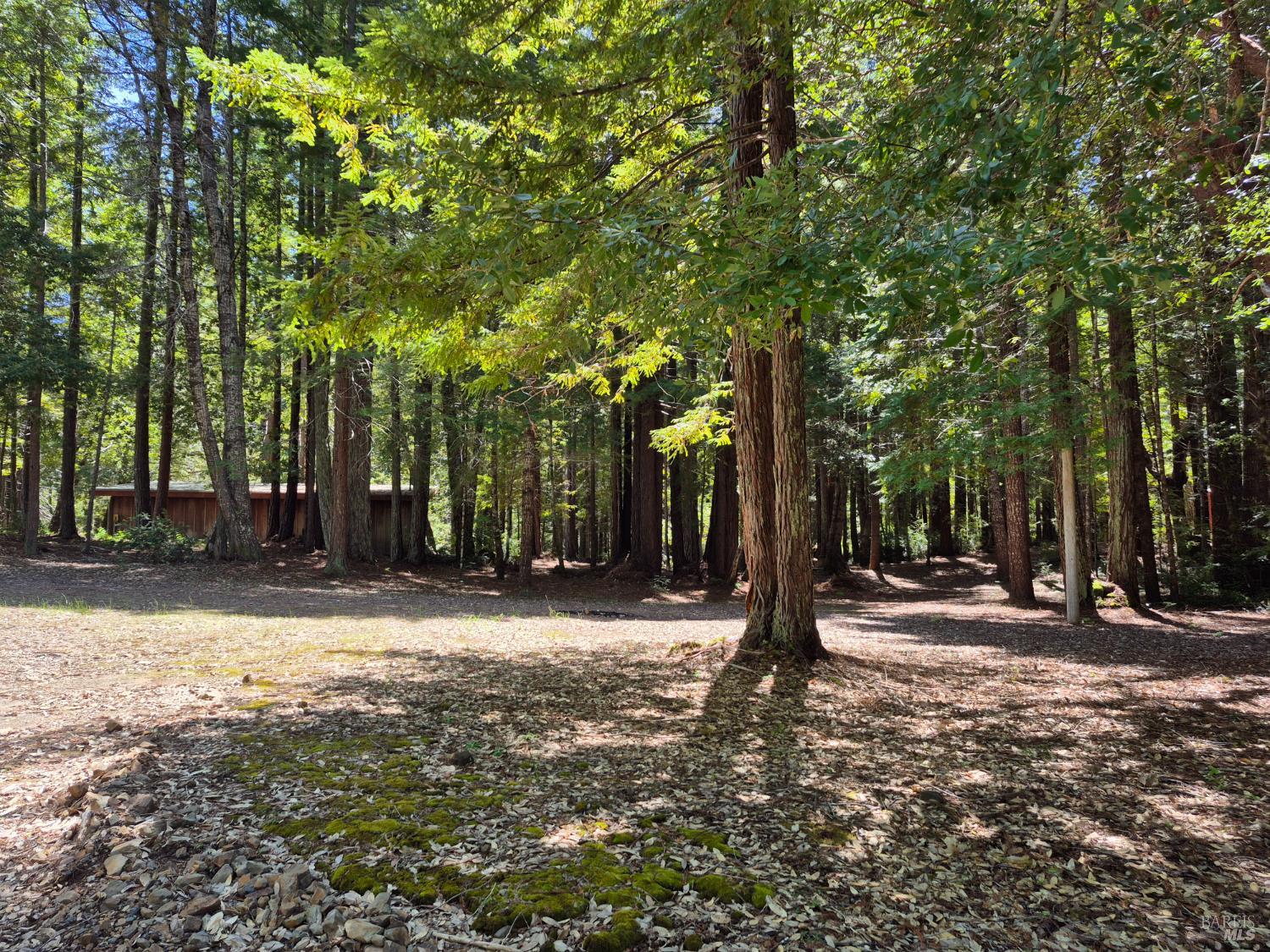 11903 Branscomb Road Branscomb CA 95417