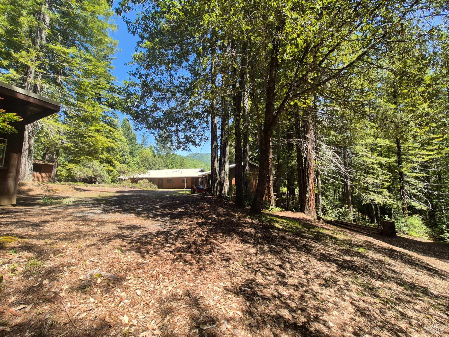 11903 Branscomb Road Branscomb CA 95417