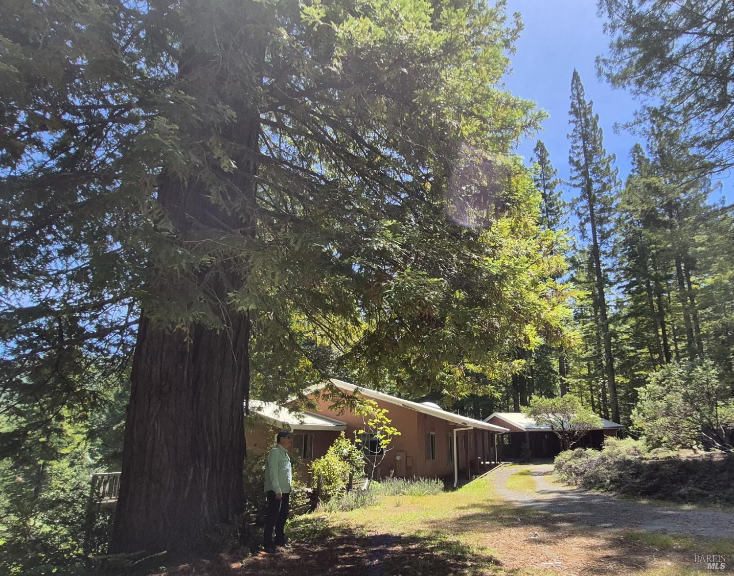 11903 Branscomb Road Branscomb CA 95417