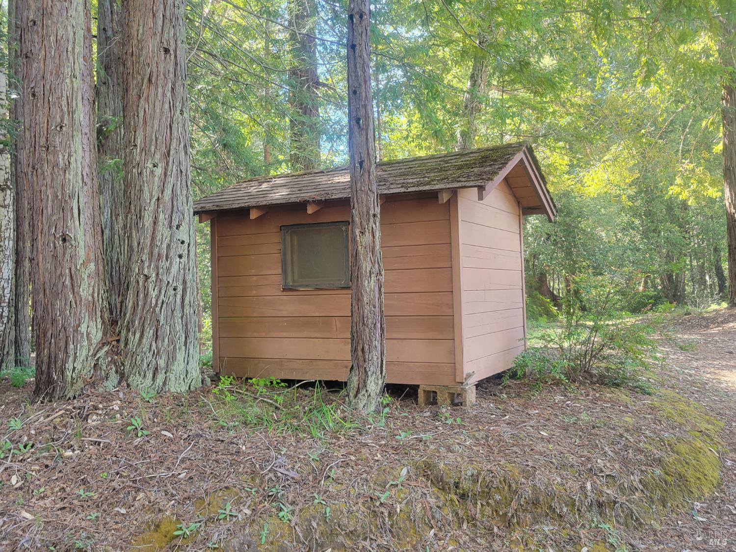 11903 Branscomb Road Branscomb CA 95417