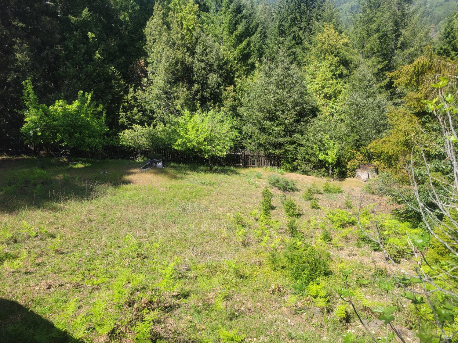 11903 Branscomb Road Branscomb CA 95417