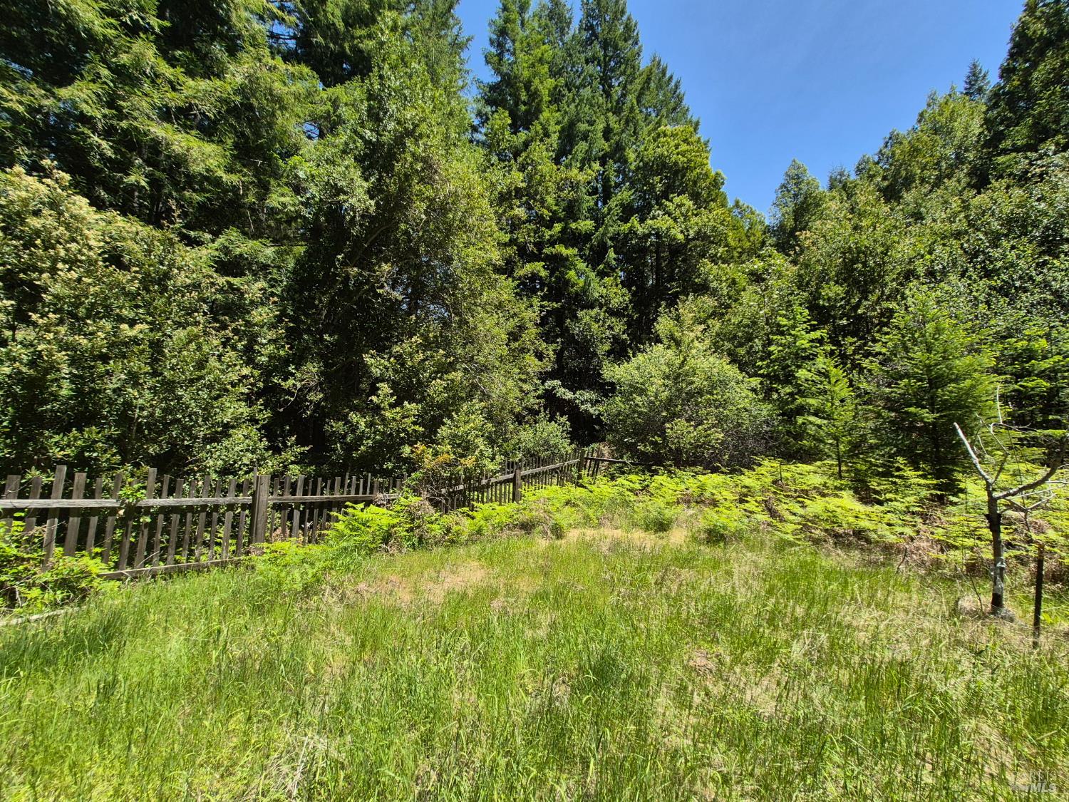 11903 Branscomb Road Branscomb CA 95417