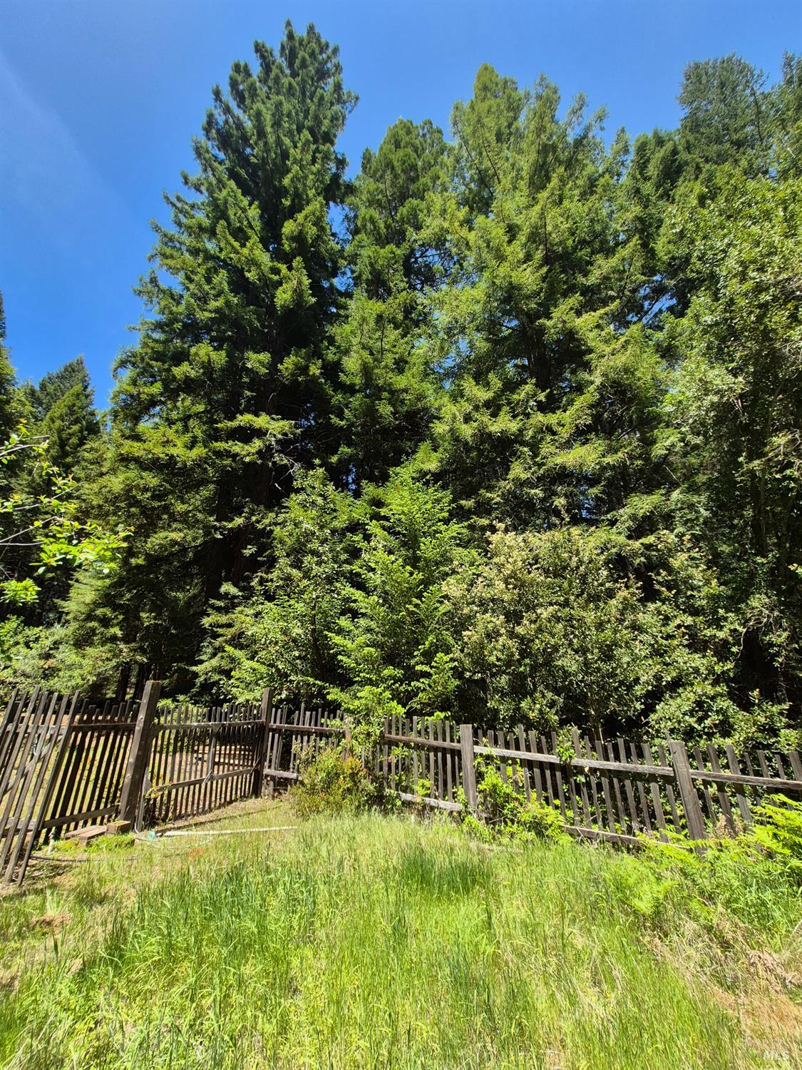 11903 Branscomb Road Branscomb CA 95417