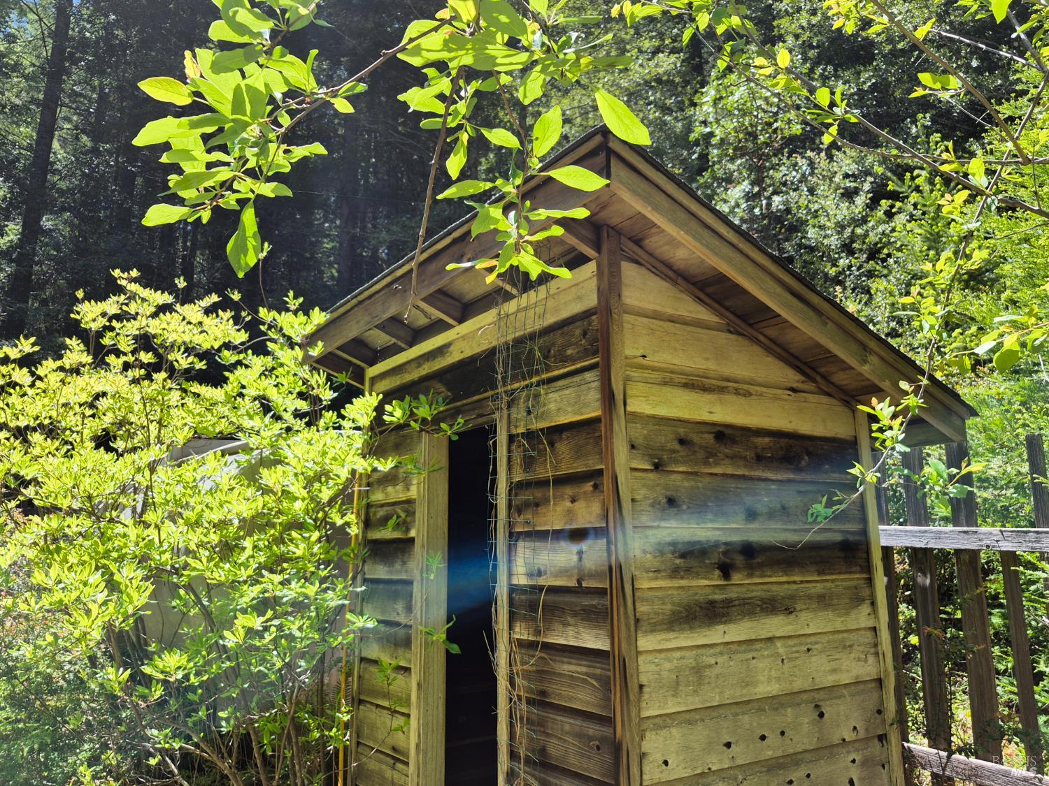 11903 Branscomb Road Branscomb CA 95417