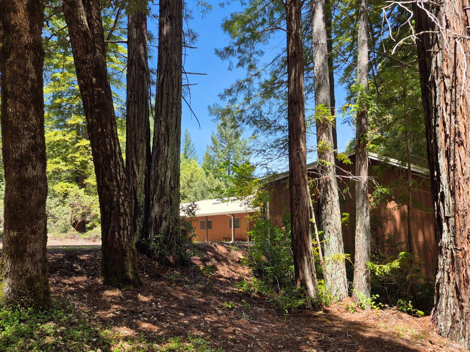 11903 Branscomb Road Branscomb CA 95417