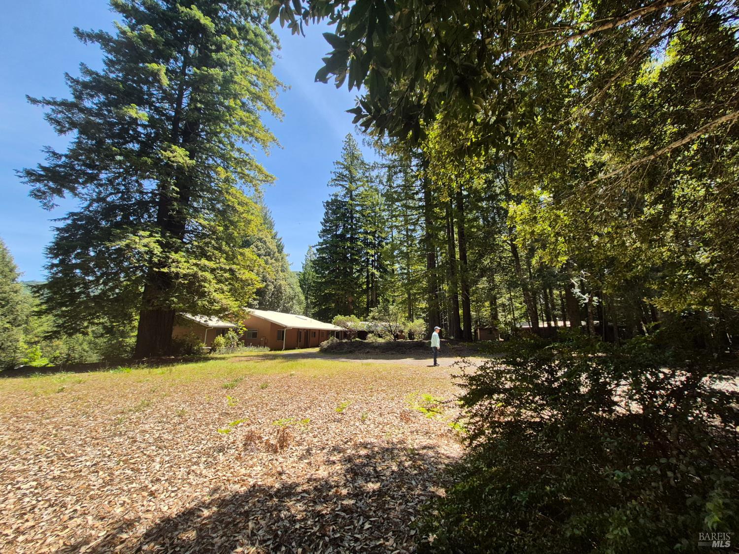 11903 Branscomb Road Branscomb CA 95417