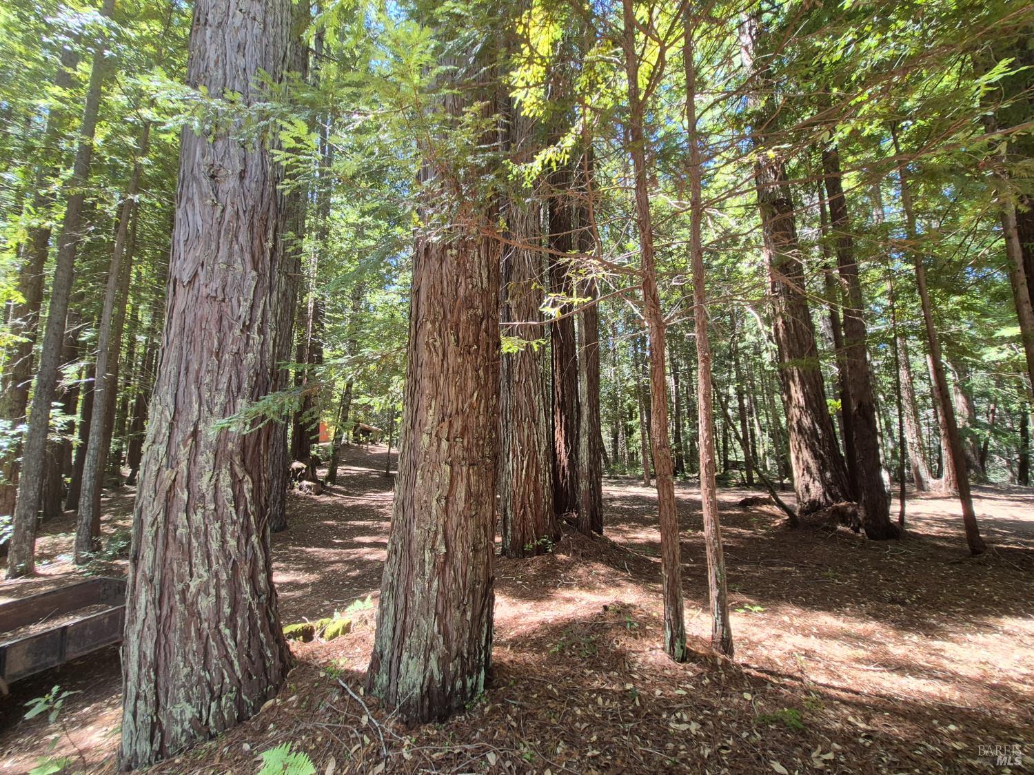 11903 Branscomb Road Branscomb CA 95417