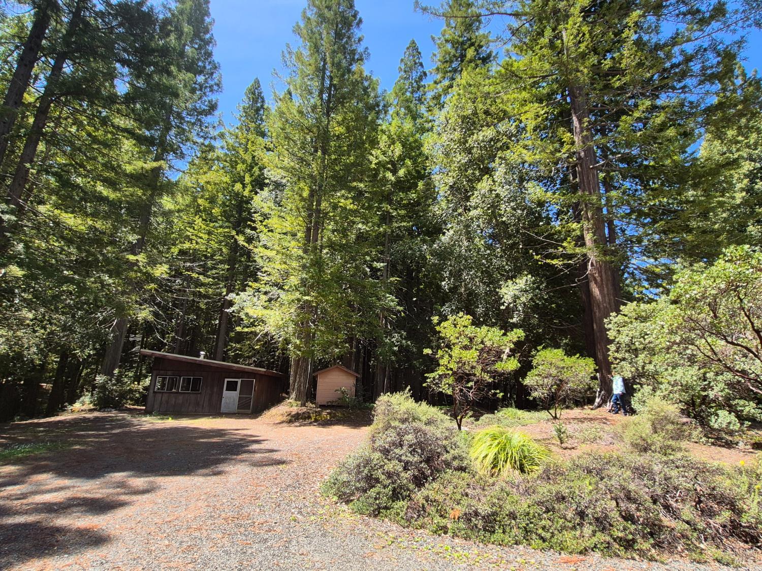 11903 Branscomb Road Branscomb CA 95417