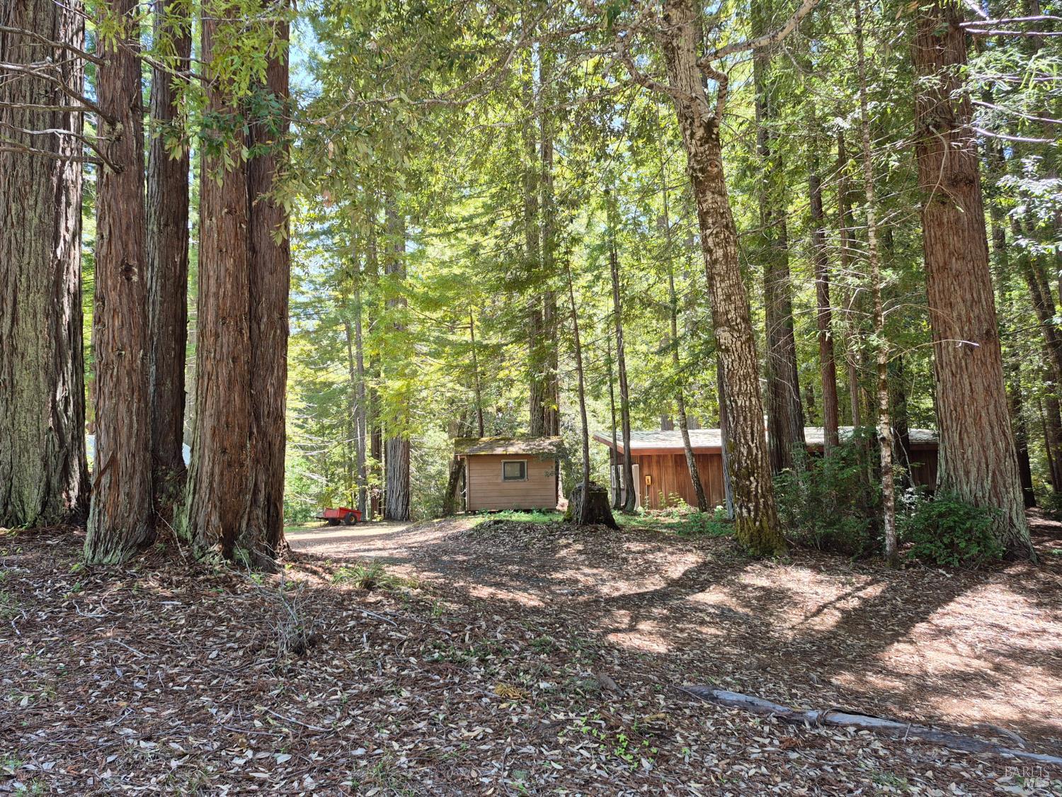 11903 Branscomb Road Branscomb CA 95417