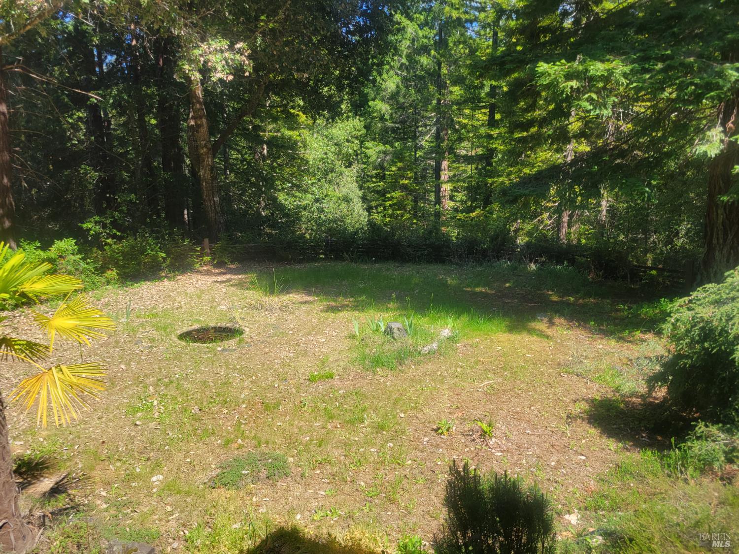 11903 Branscomb Road Branscomb CA 95417