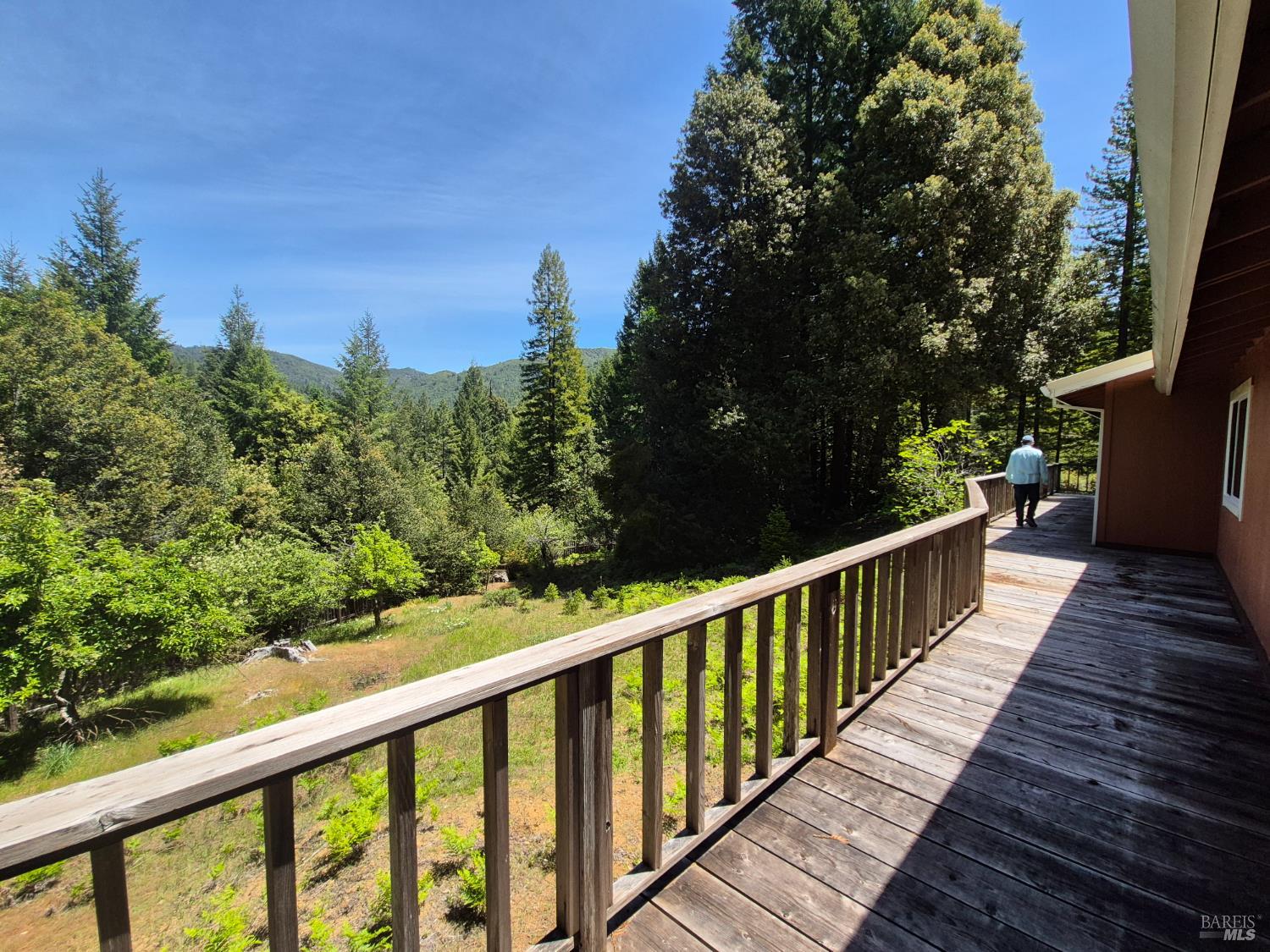 11903 Branscomb Road Branscomb CA 95417