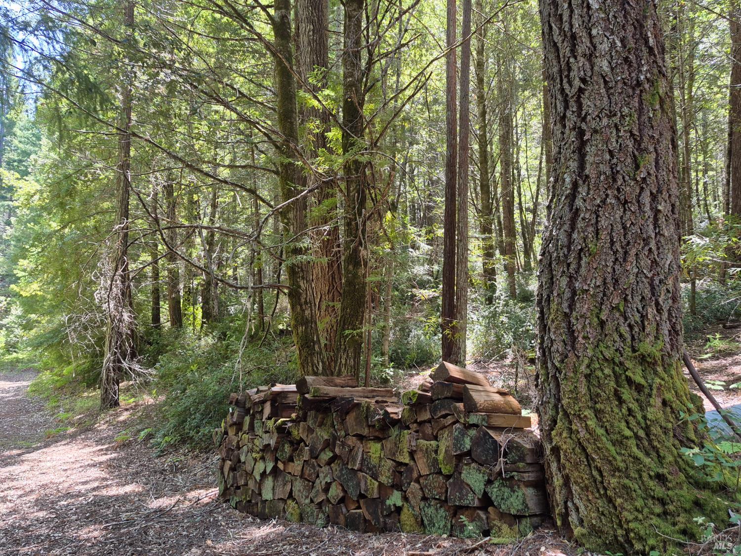 11903 Branscomb Road Branscomb CA 95417