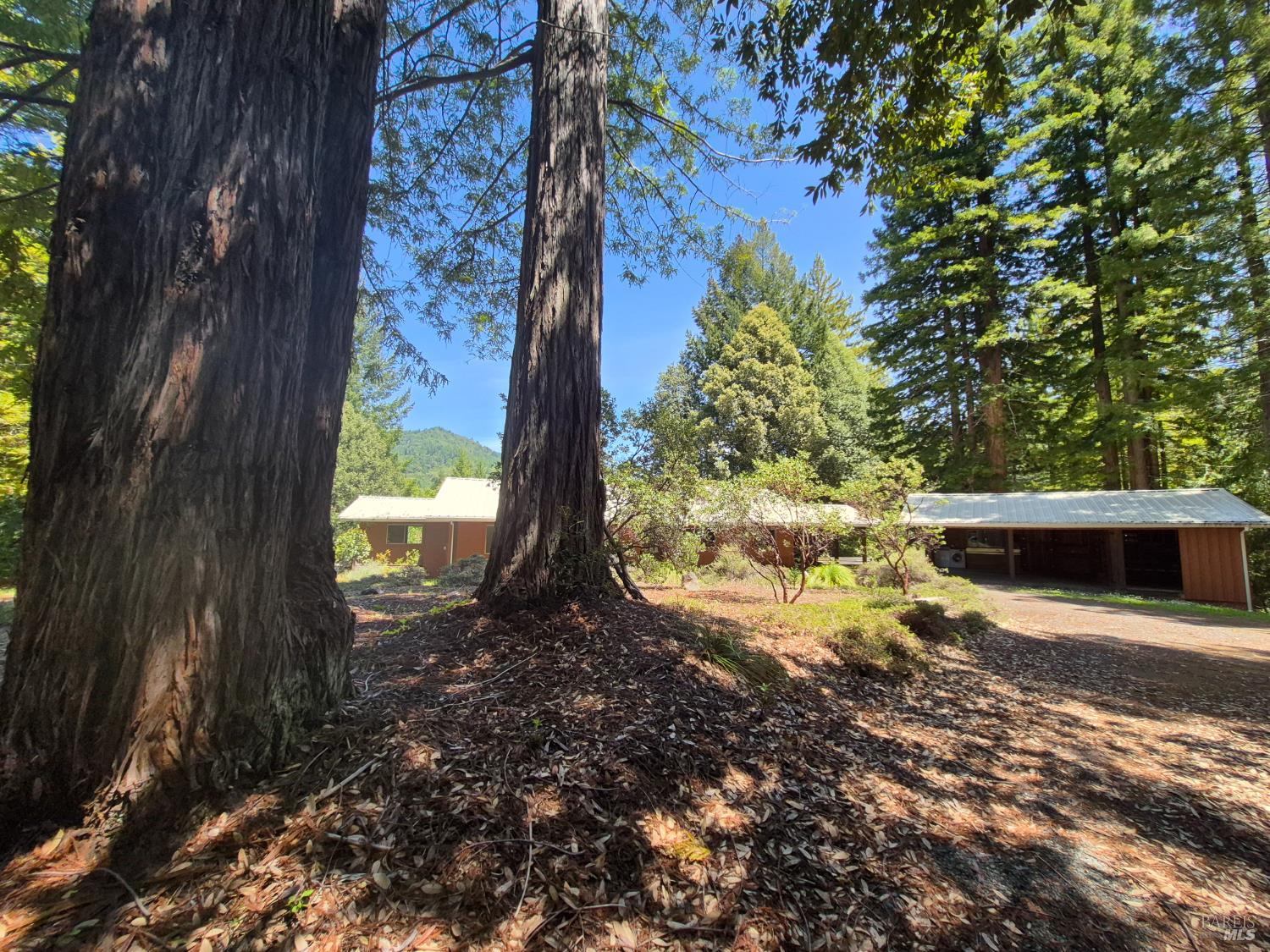 11903 Branscomb Road Branscomb CA 95417