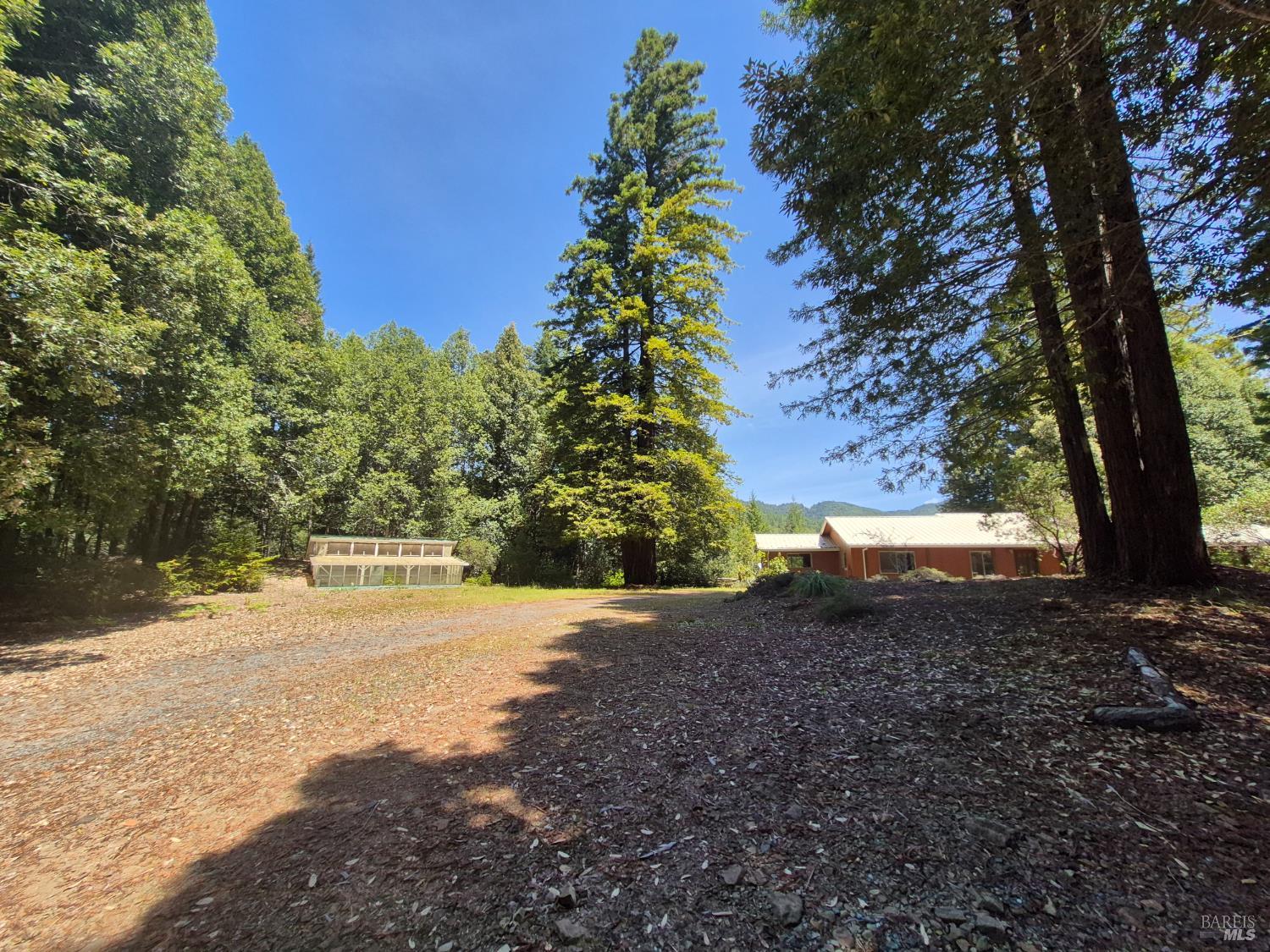 11903 Branscomb Road Branscomb CA 95417