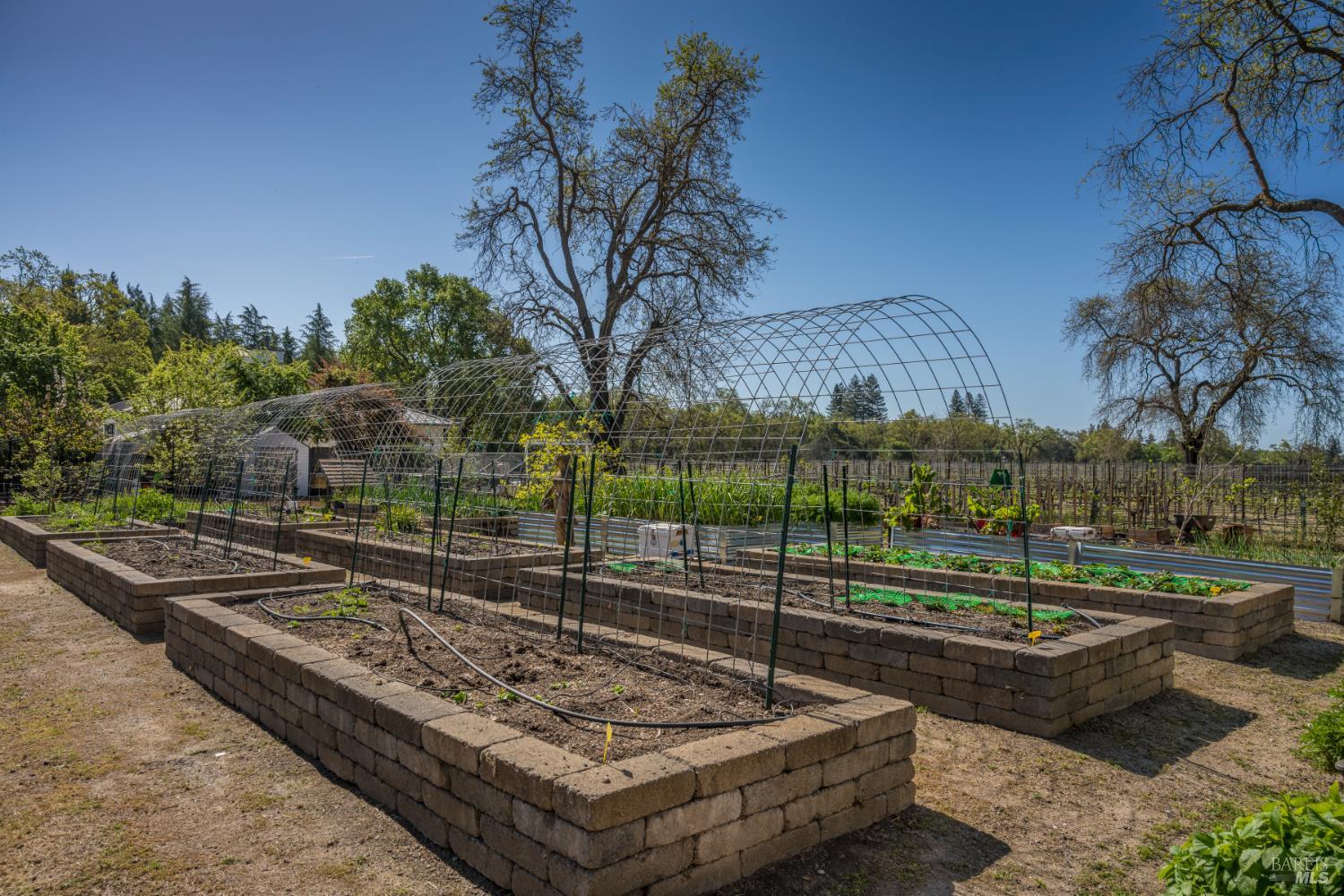 1101 Hedgeside Avenue Napa CA 94558