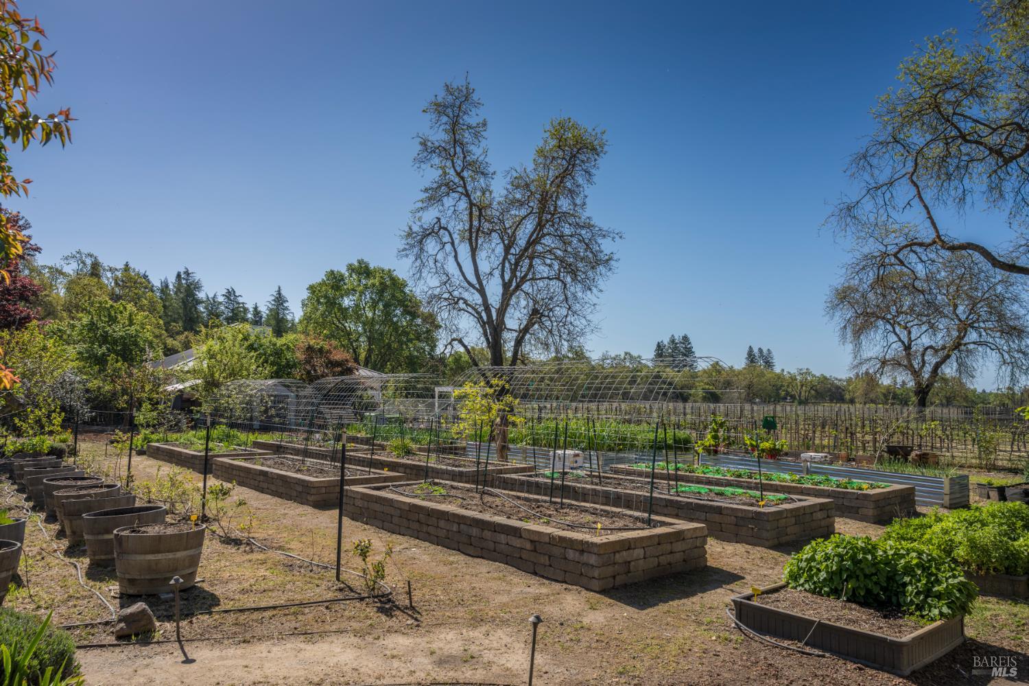 1101 Hedgeside Avenue Napa CA 94558
