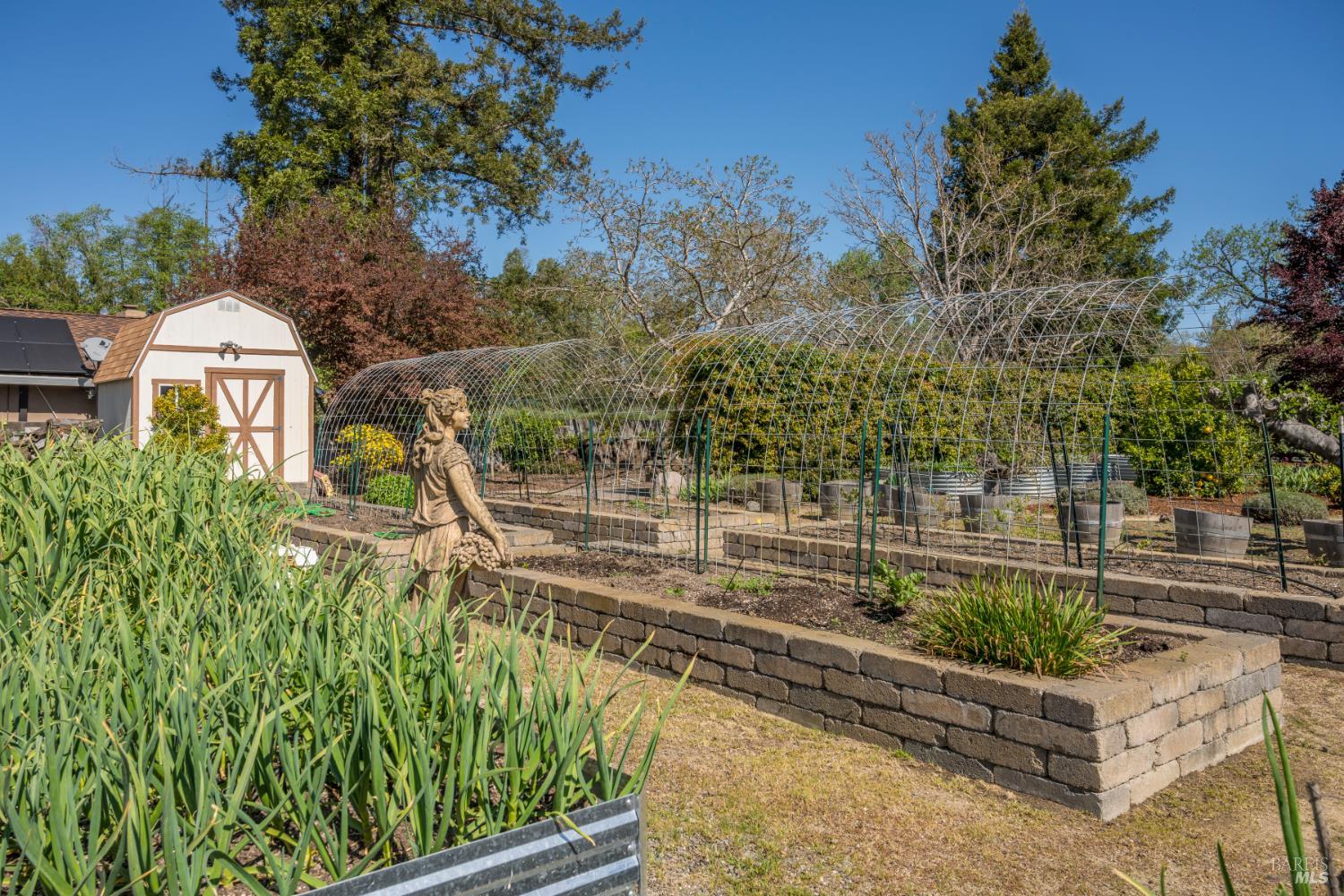 1101 Hedgeside Avenue Napa CA 94558