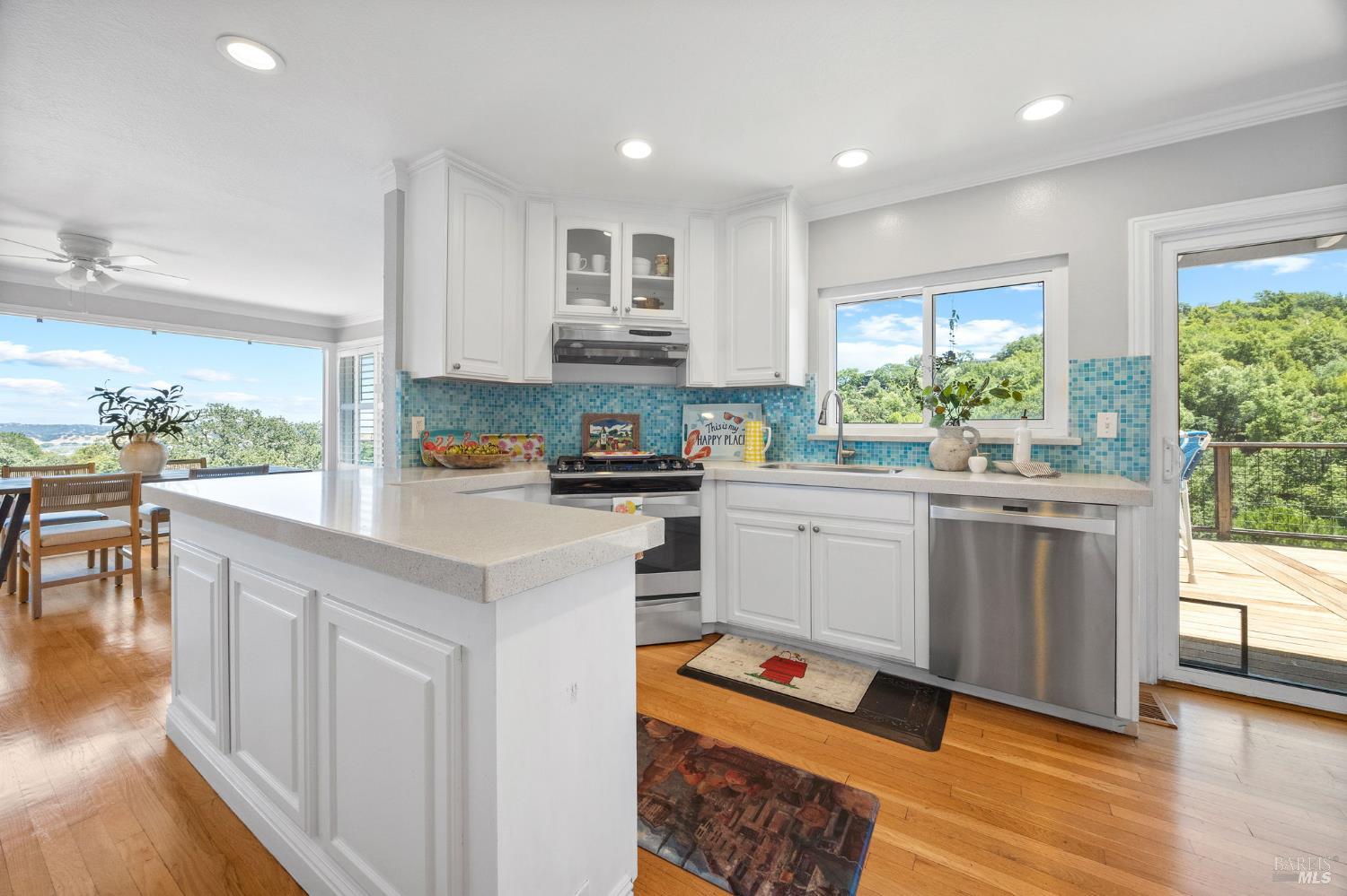 37 Truman Drive Novato CA 94947