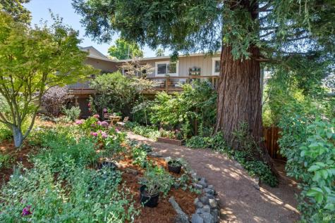 38 Mission Drive Petaluma CA 94952
