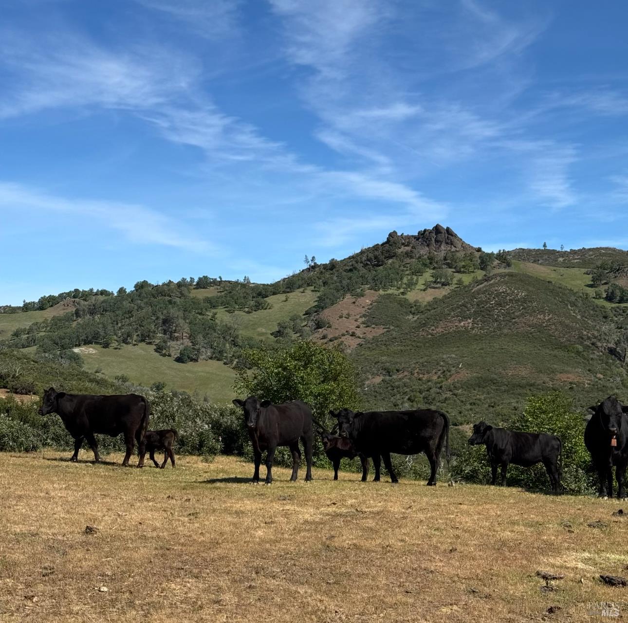 26200 Morgan Valley Road Lower Lake CA 95457