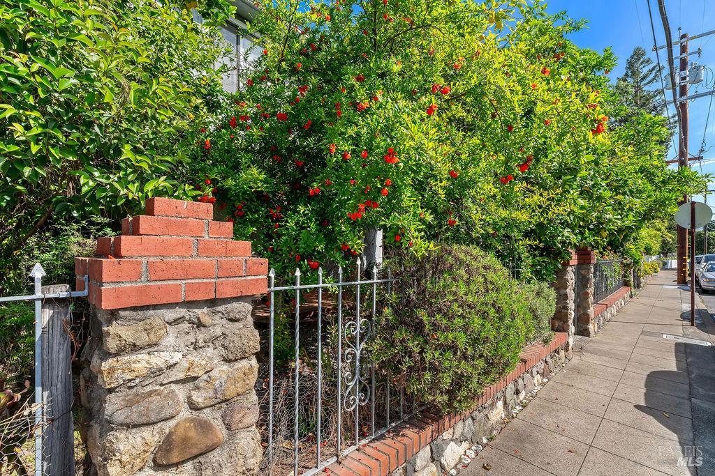 1034 Pope Street St. Helena CA 94574