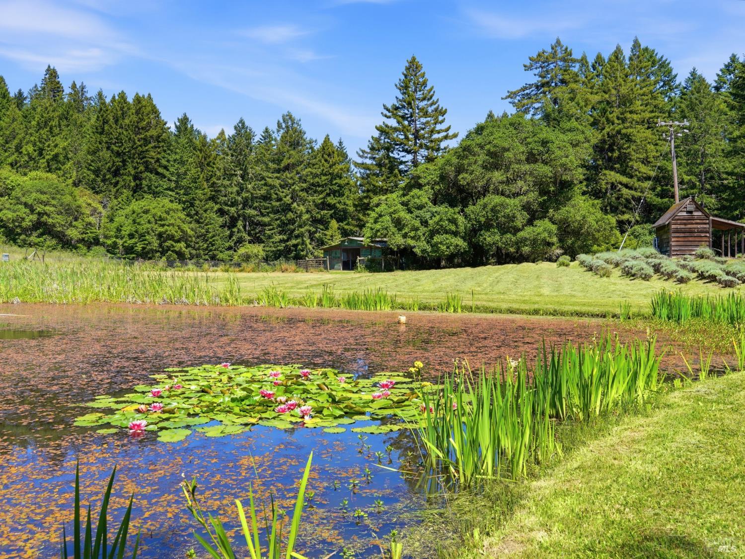 31397 Seaview Road Cazadero CA 95421