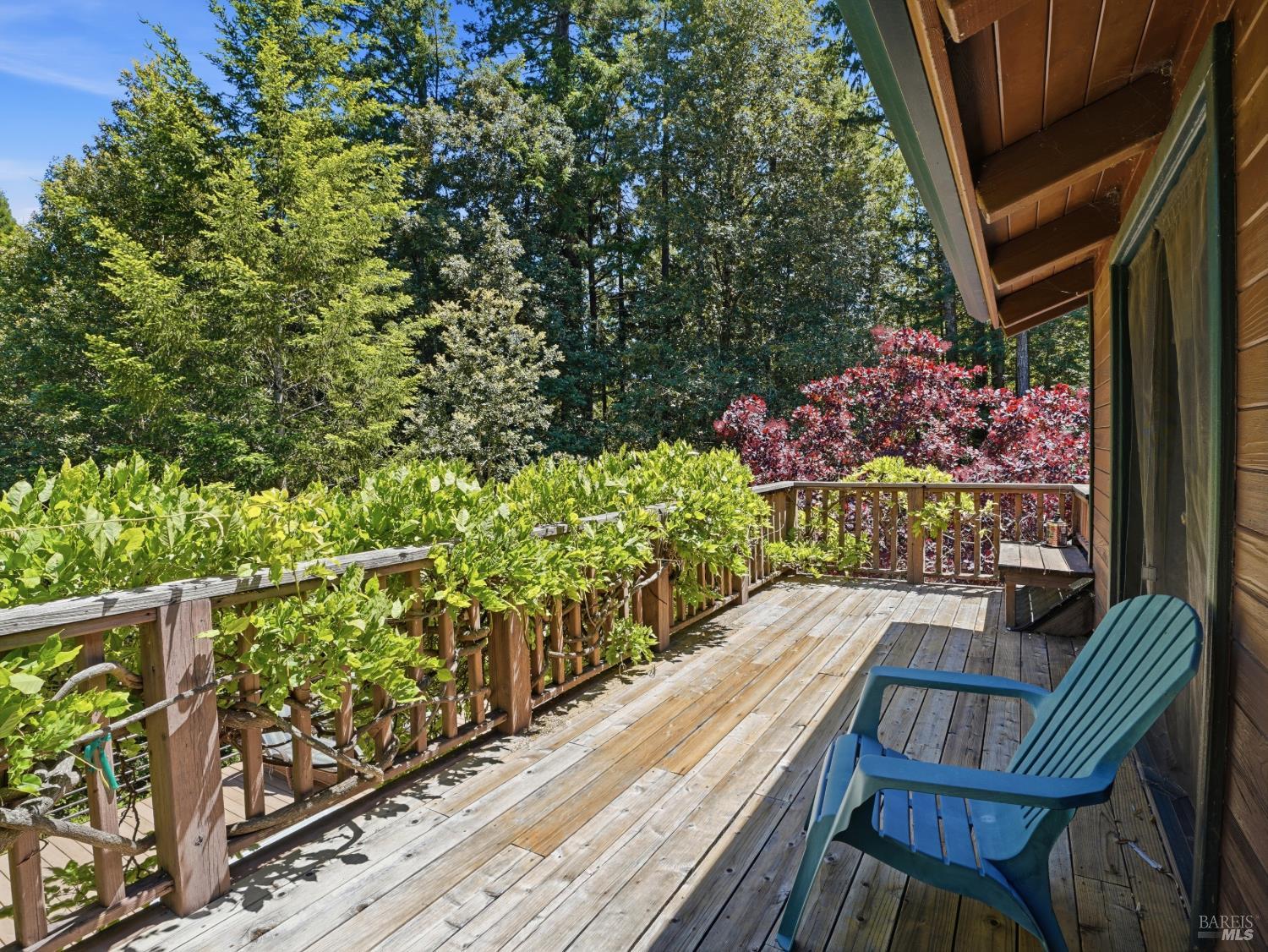 31397 Seaview Road Cazadero CA 95421