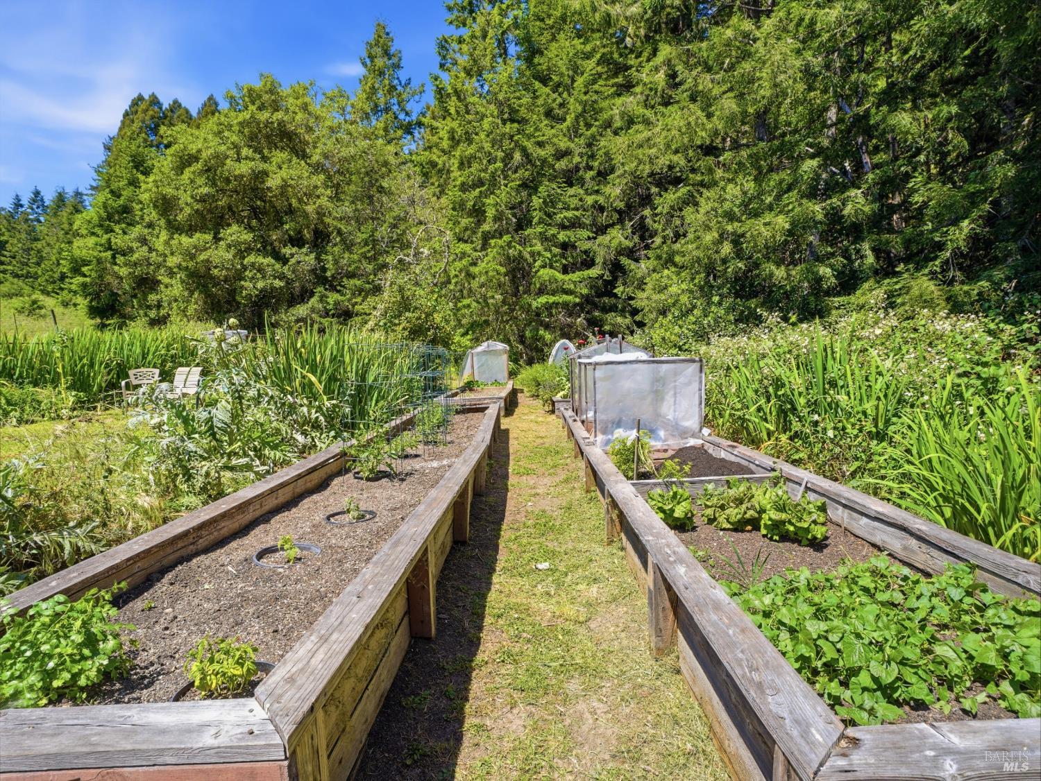 31397 Seaview Road Cazadero CA 95421