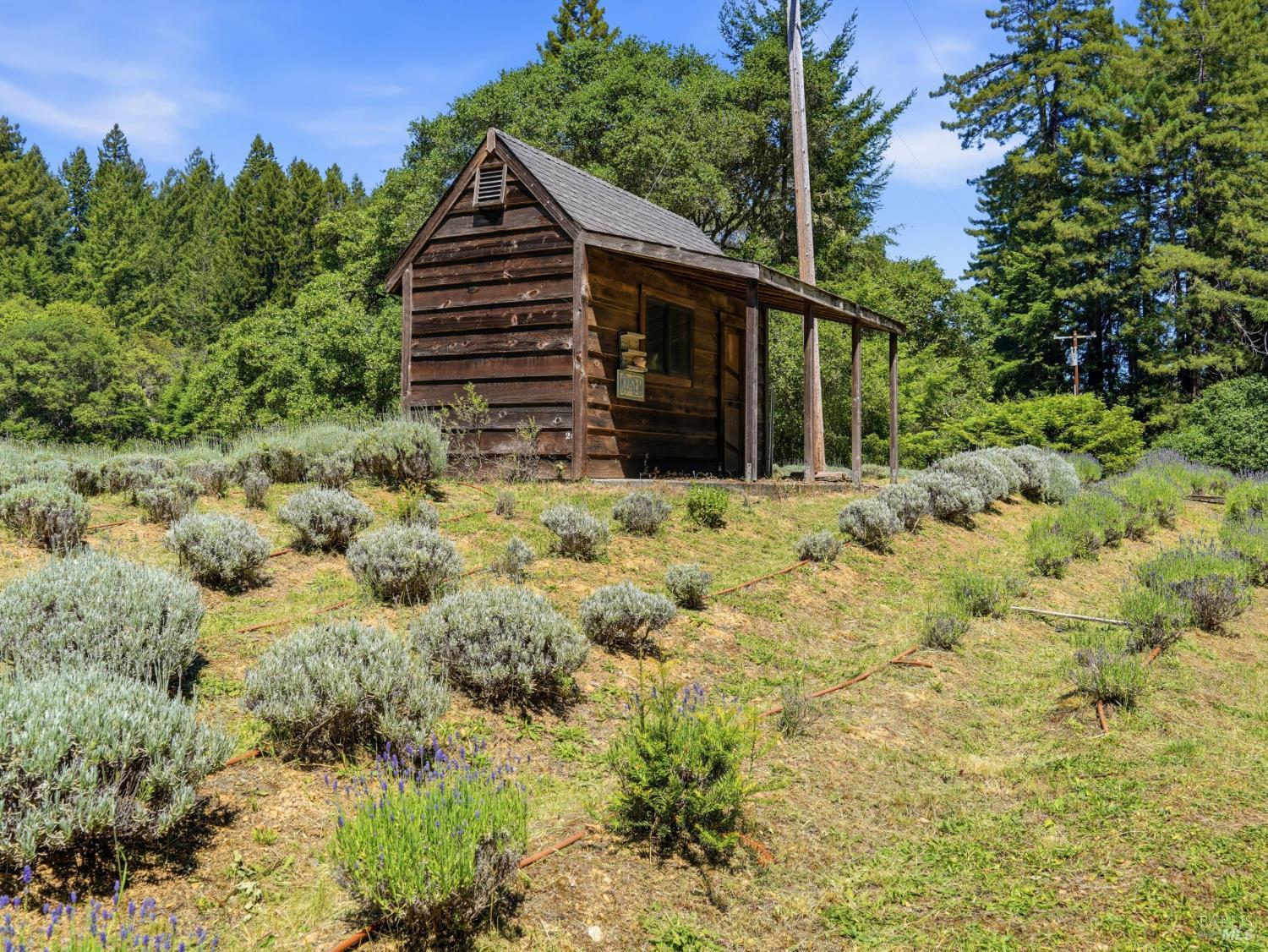 31397 Seaview Road Cazadero CA 95421