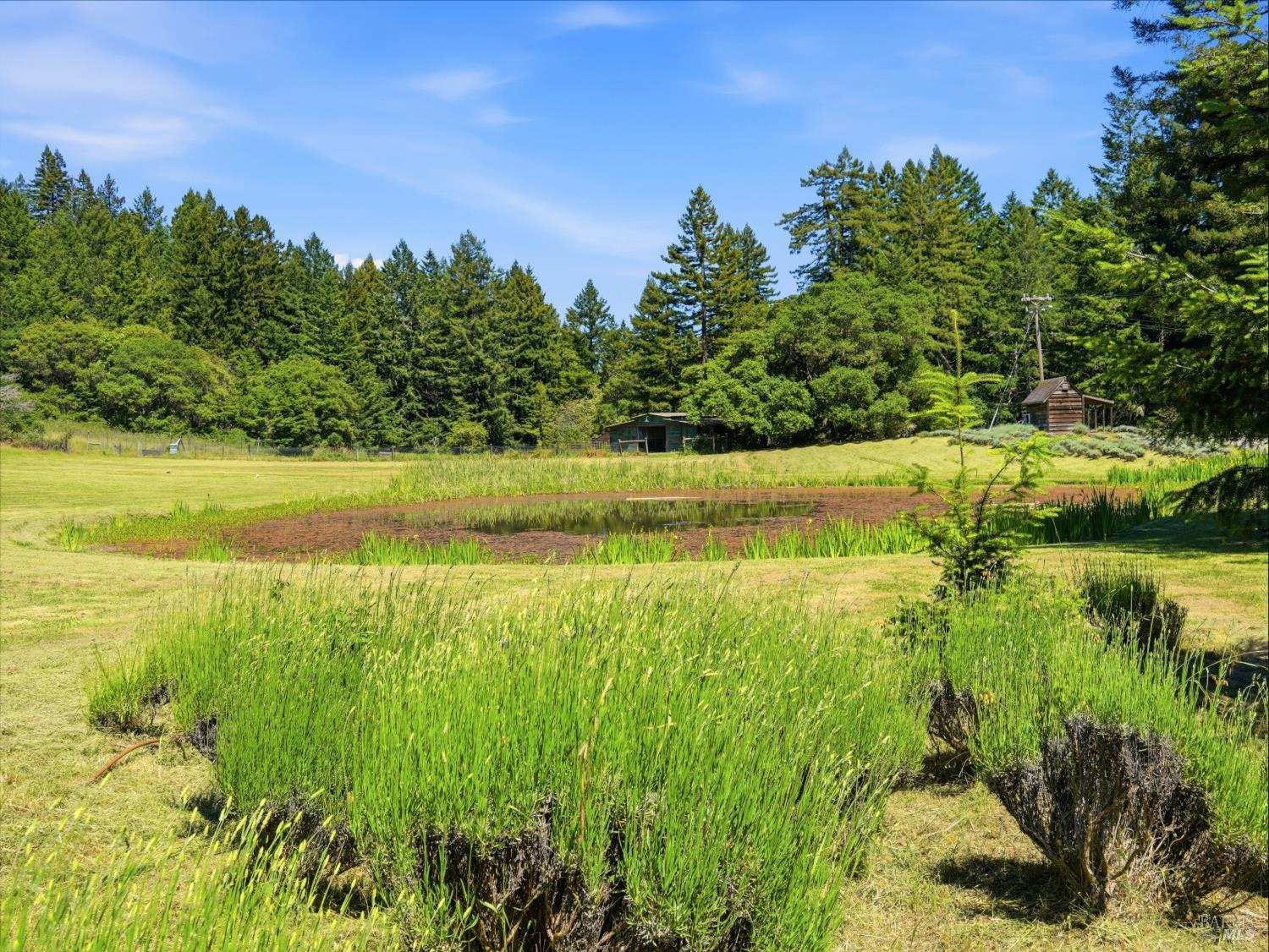 31397 Seaview Road Cazadero CA 95421