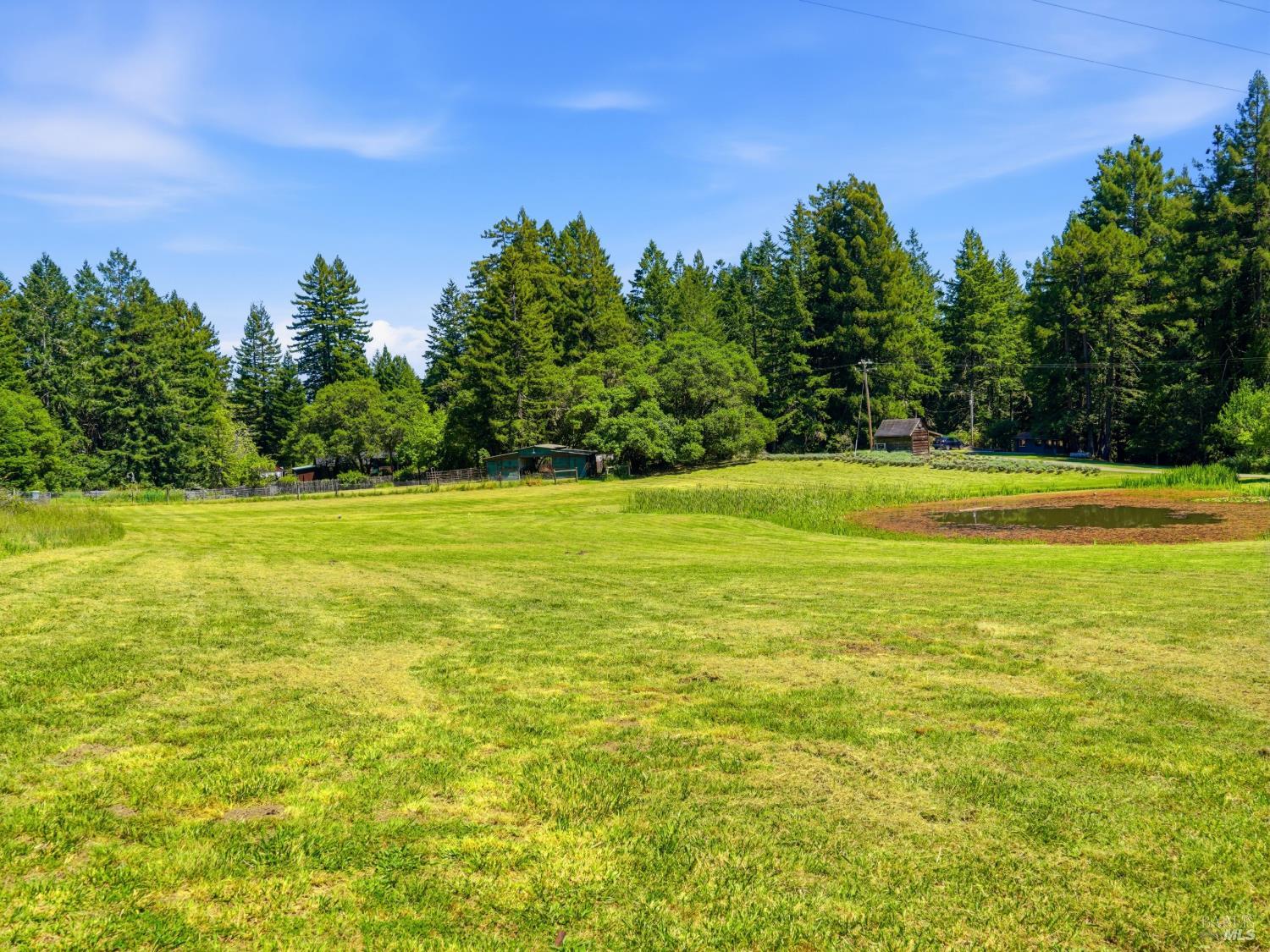 31397 Seaview Road Cazadero CA 95421