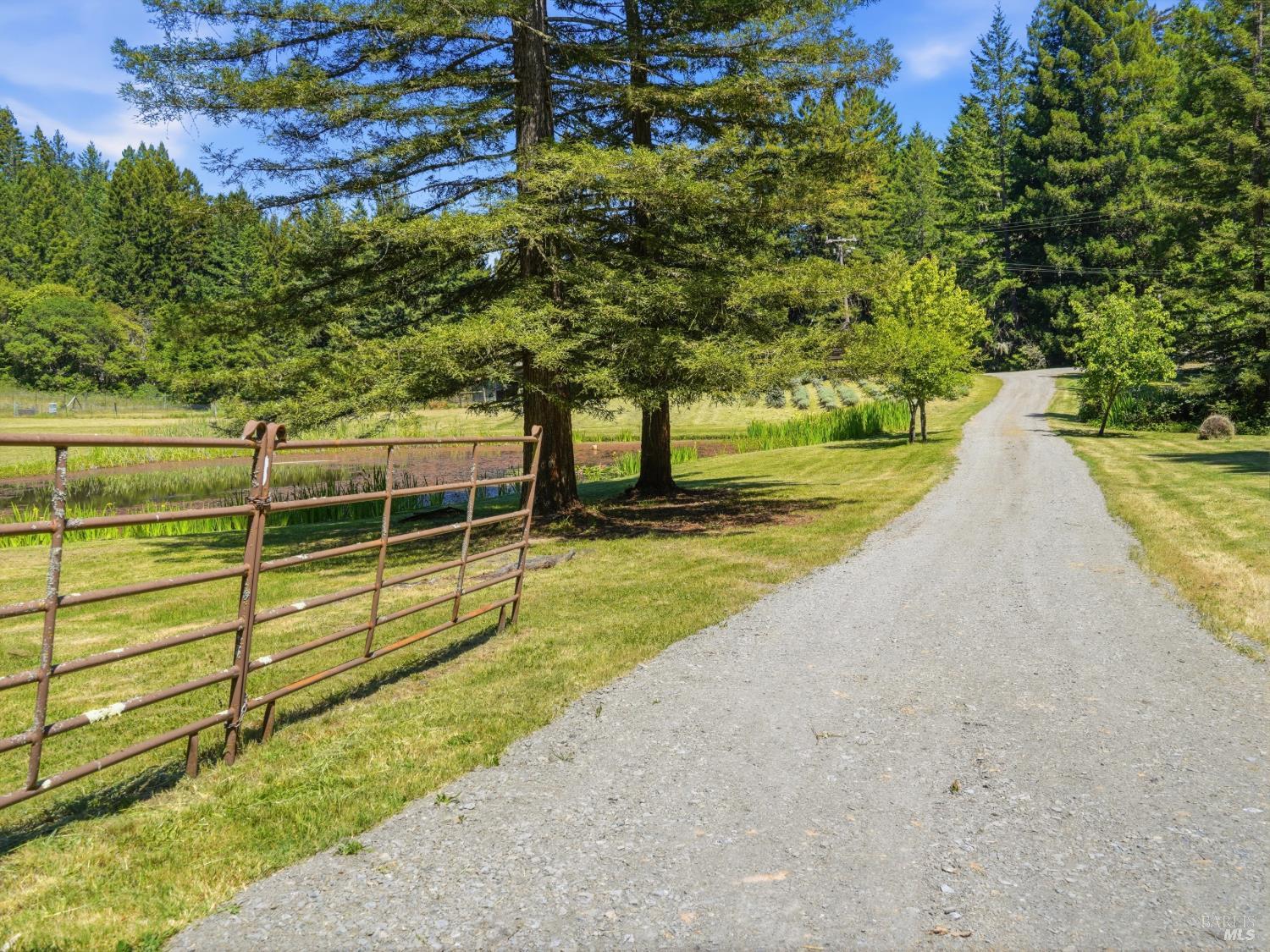 31397 Seaview Road Cazadero CA 95421