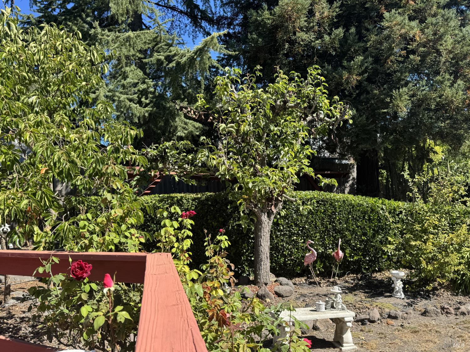 4402 Glacier Court Rohnert Park CA 94928