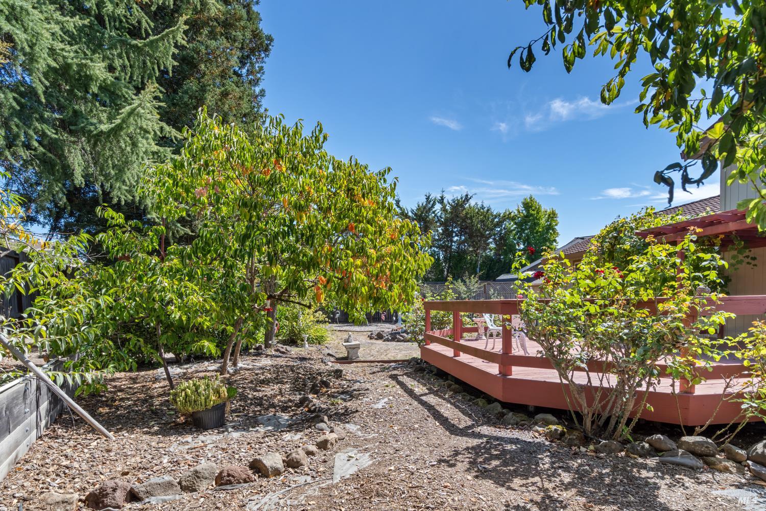 4402 Glacier Court Rohnert Park CA 94928