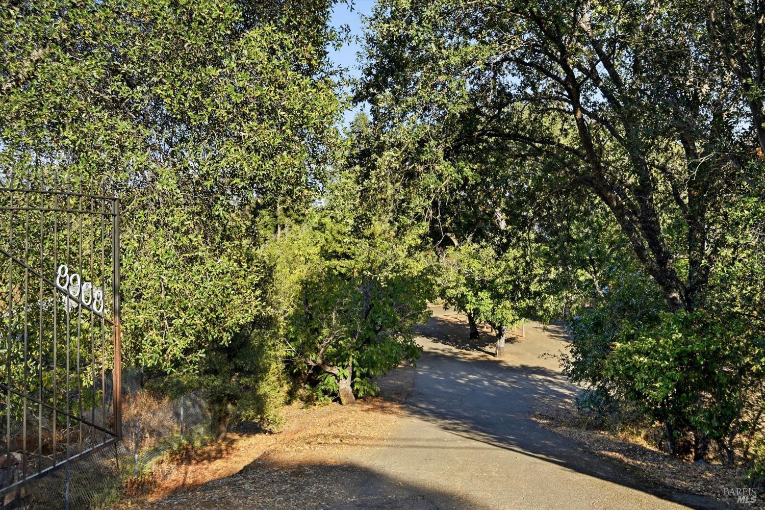 8968 Soda Bay Road Kelseyville CA 95451