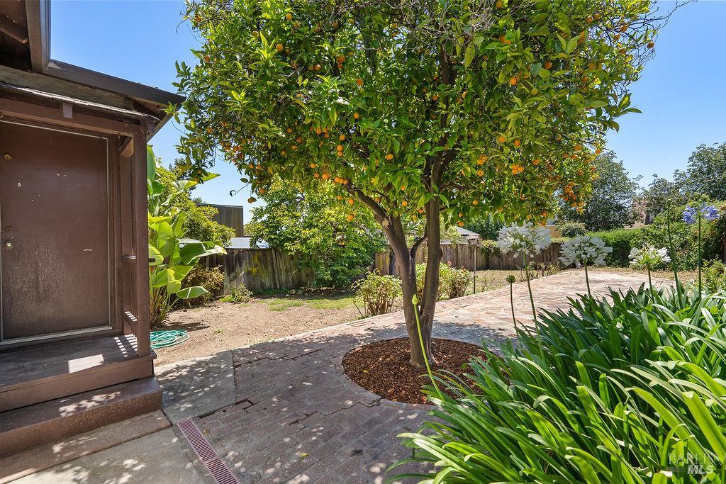 2515 Wilbur Street Oakland CA 94602