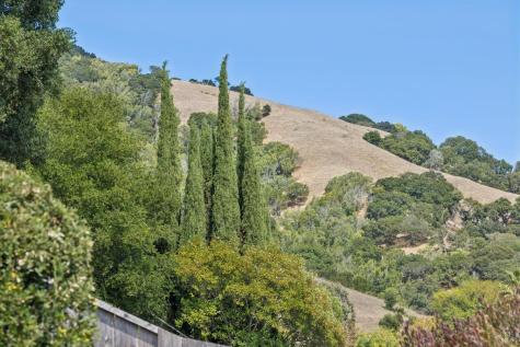 1162 Idylberry Road San Rafael CA 94903