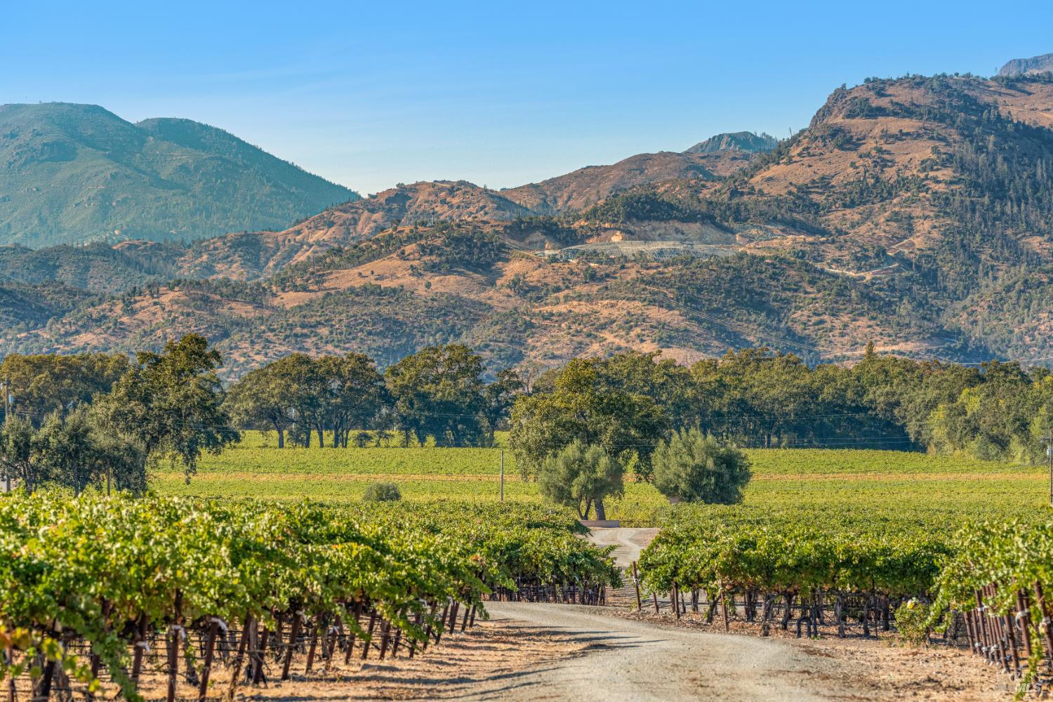 3486 St. Helena Highway St. Helena CA 94574