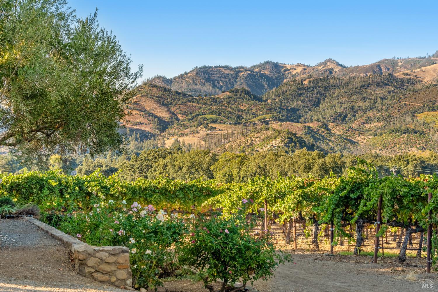 3486 St. Helena Highway St. Helena CA 94574