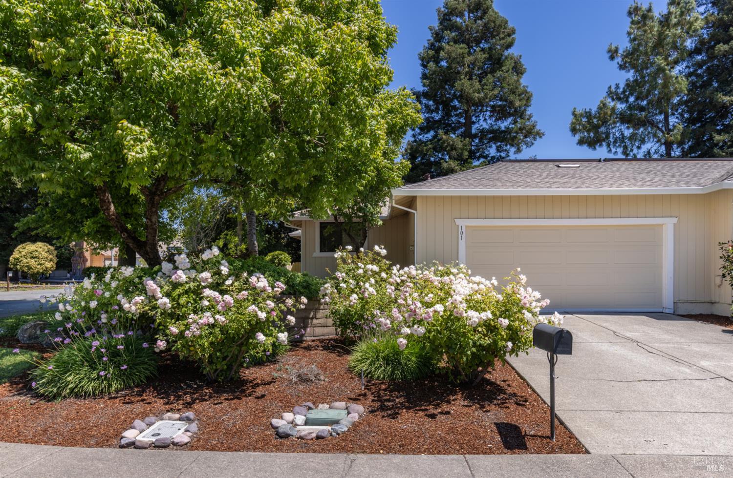 101 Miller Court Petaluma CA 94954