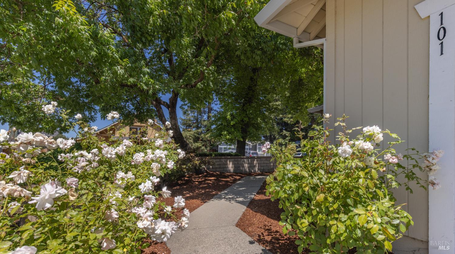 101 Miller Court Petaluma CA 94954