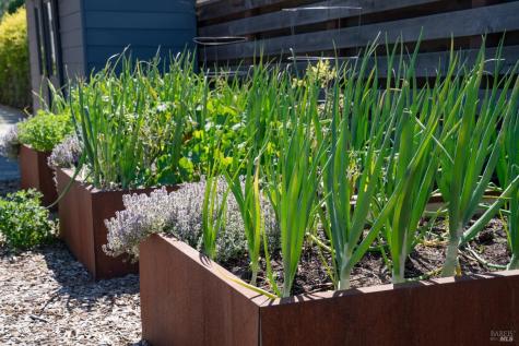 991 Grove Street Healdsburg CA 95448