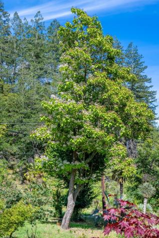 6662 St Helena Road Santa Rosa CA 95404