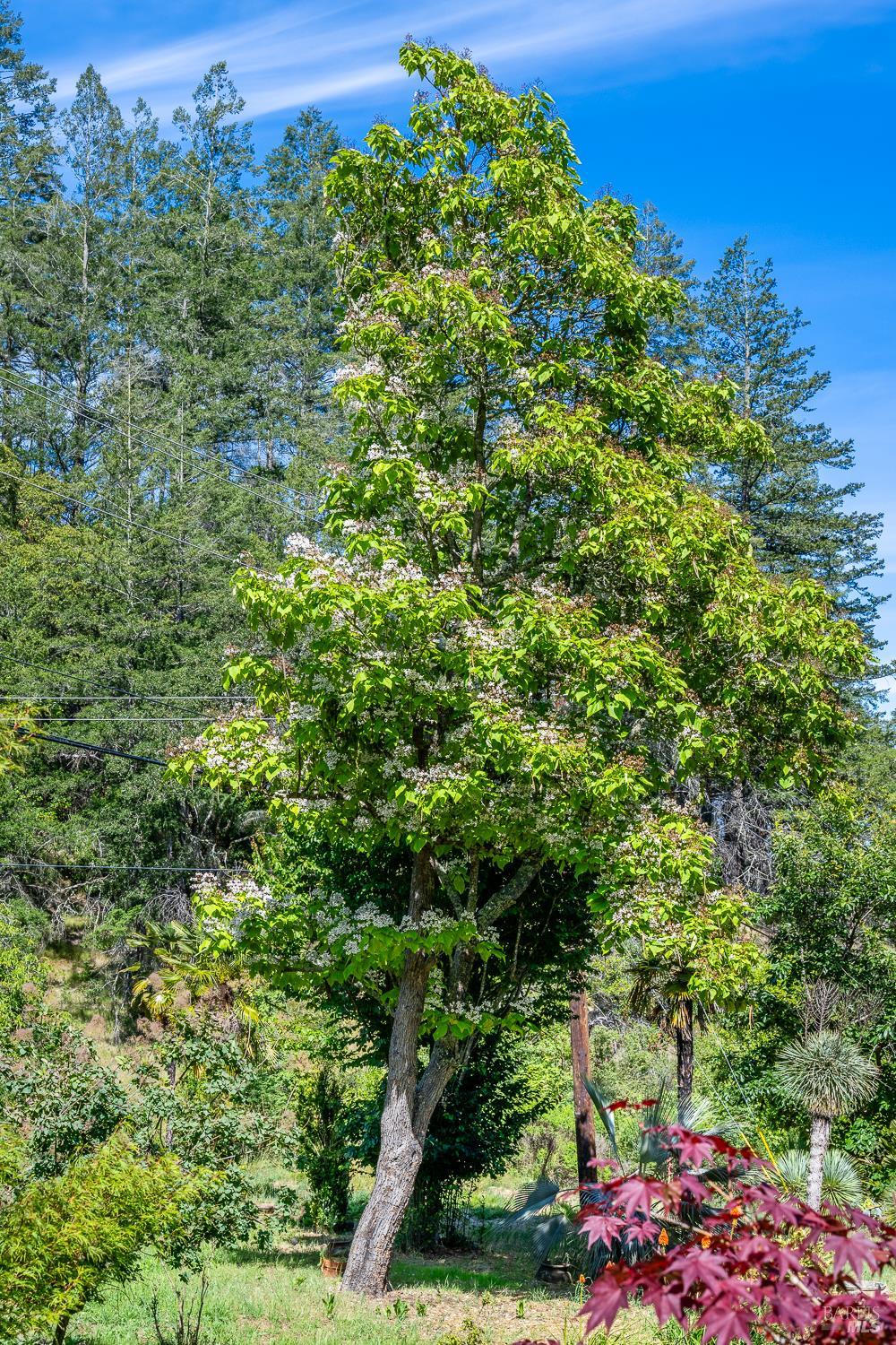 6662 St Helena Road Santa Rosa CA 95404