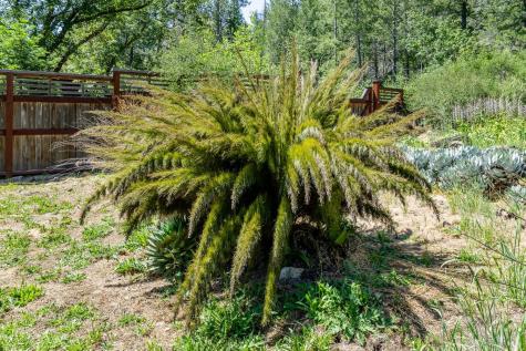 6662 St Helena Road Santa Rosa CA 95404