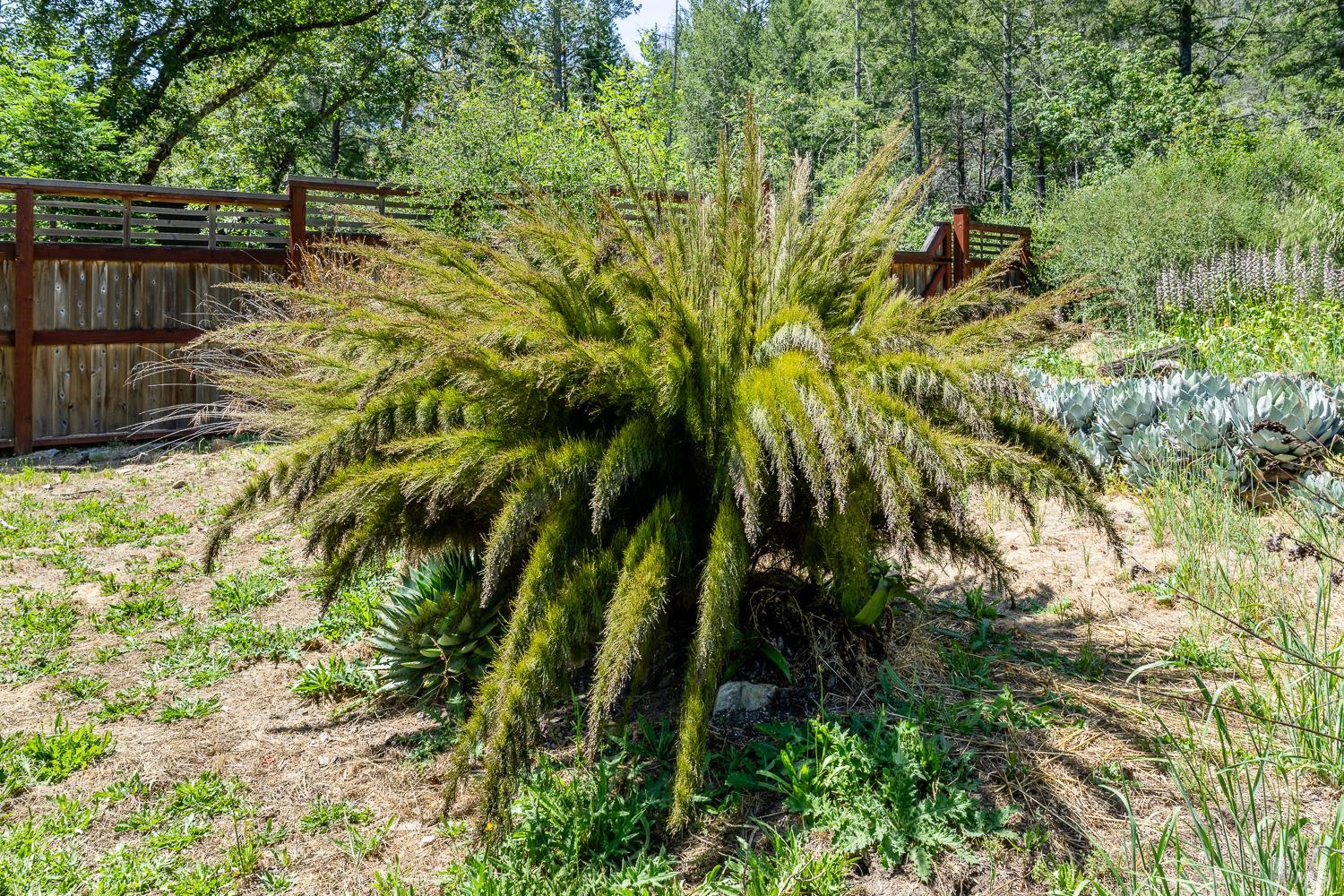 6662 St Helena Road Santa Rosa CA 95404