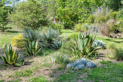 6662 St Helena Road Santa Rosa CA 95404