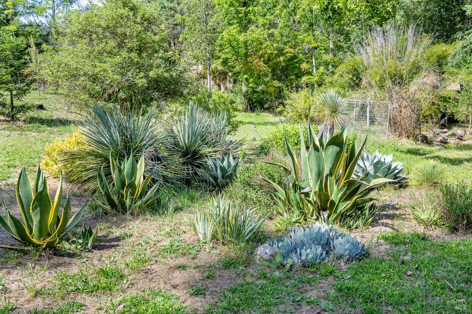 6662 St Helena Road Santa Rosa CA 95404