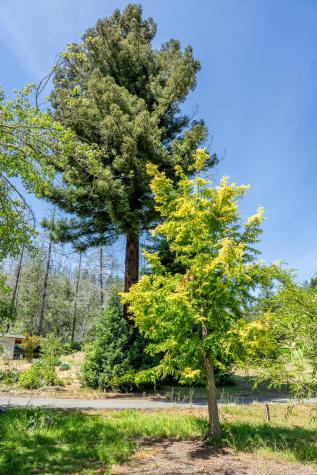 6662 St Helena Road Santa Rosa CA 95404