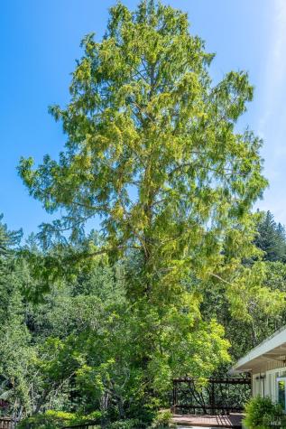 6662 St Helena Road Santa Rosa CA 95404